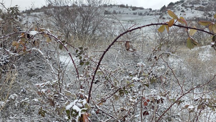 Kütahya’nın yüksek kesimleri beyaza büründü