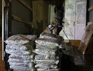 Ev eşyası yüklü kamyonette 40 kilo esrar ele geçirildi