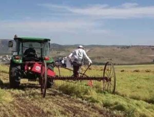 Kırsal kalkınmada 1,8 milyar TL’lik dev hacim: 800 proje hayat buldu