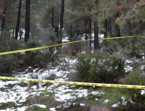 Yaşlı adam ormanda ölü bulundu