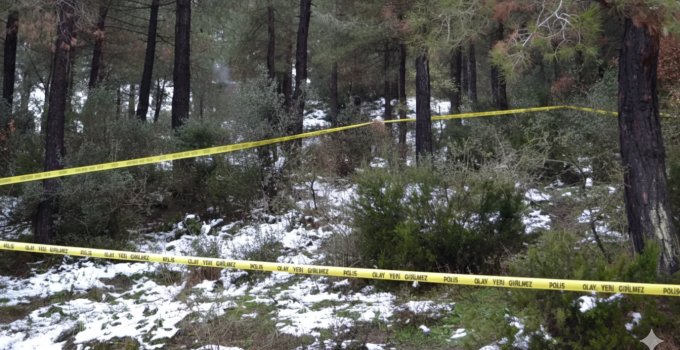 Yaşlı adam ormanda ölü bulundu