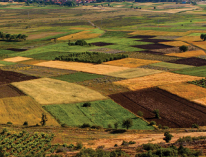 Atıl araziler ekonomiye kazandırıldı