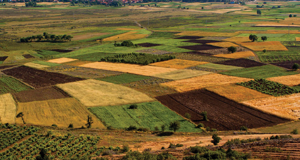 Atıl araziler ekonomiye kazandırıldı