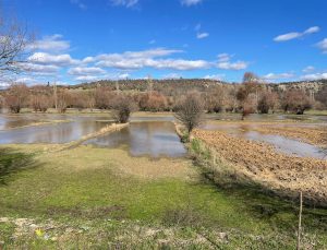 Emet Çayı taştı! Tarım arazilerini su bastı