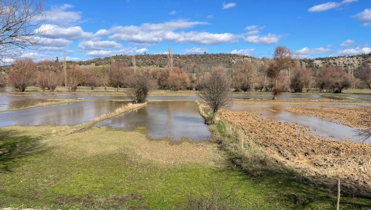 Emet Çayı taştı! Tarım arazilerini su bastı