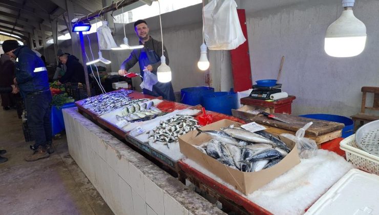 60 yıllık aile mesleği: İlçe ilçe gezip balık satıyorlar