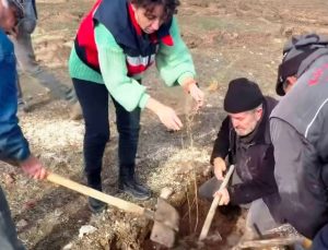 Kurak ve tuzlu alanlar üretime kazandırılacak