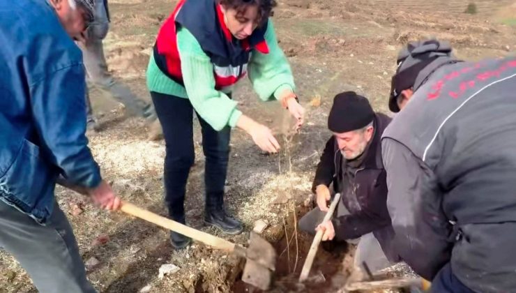 Kurak ve tuzlu alanlar üretime kazandırılacak