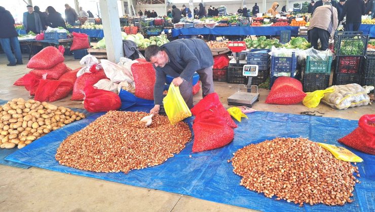 Tohumluk kuru soğan üretiminde artış: Fiyat 100 TL’ye düştü