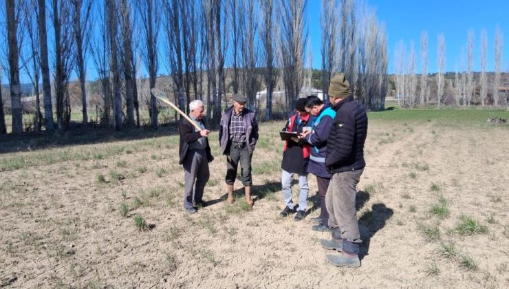Tarım arazilerini sel vurdu