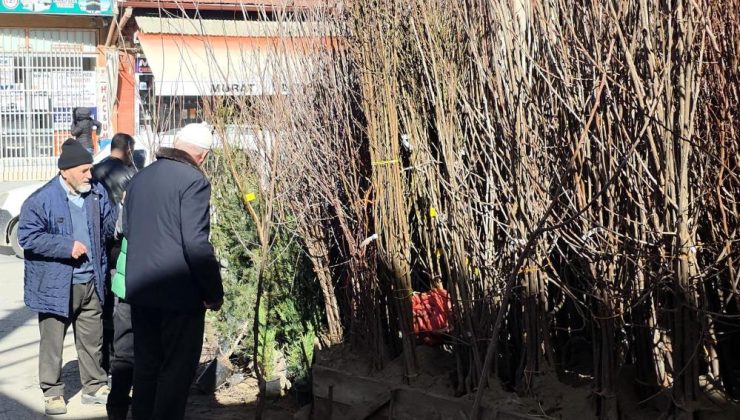Meyve fidanları yoğun ilgi görüyor