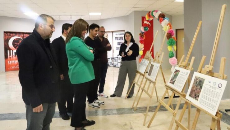 DPÜ’lü gençler doğanın şifresini çözdü