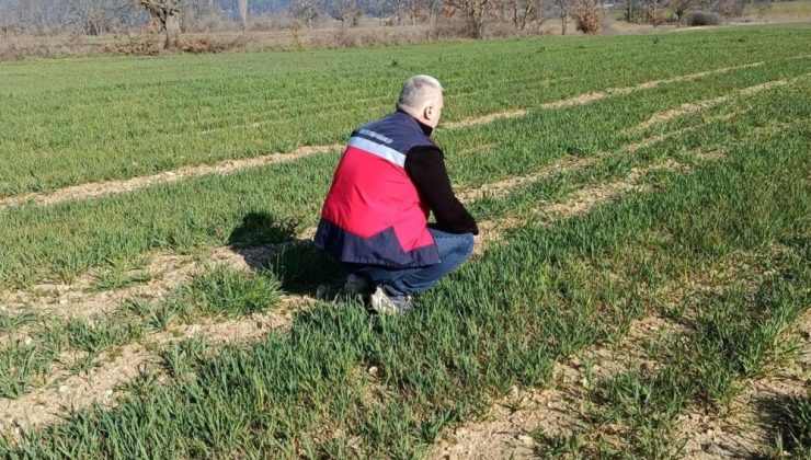 Tarımsal üretime yakın takip