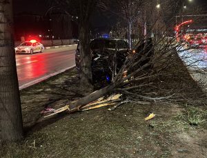 Refüje çıkan otomobil ağaca çarparak durabildi: 2 yaralı