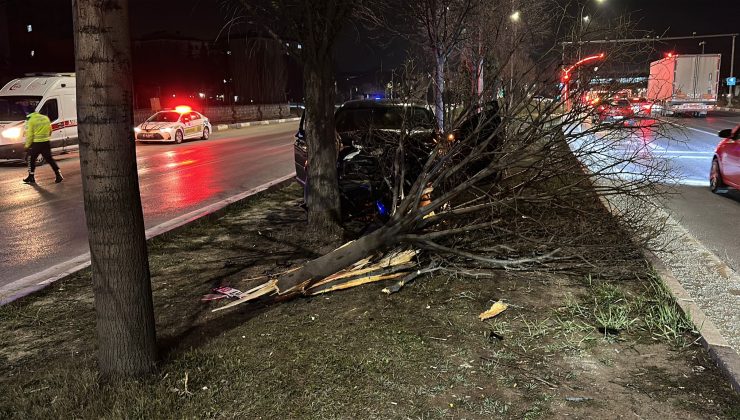 Refüje çıkan otomobil ağaca çarparak durabildi: 2 yaralı