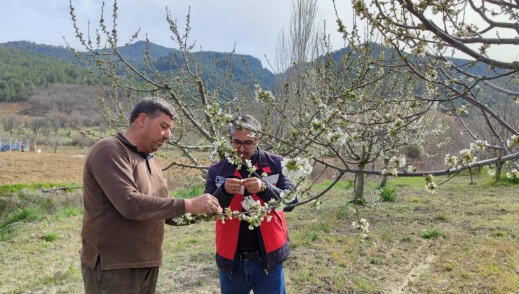 Zirai don kontrollerinde sevindiren sonuç: Zarar yok