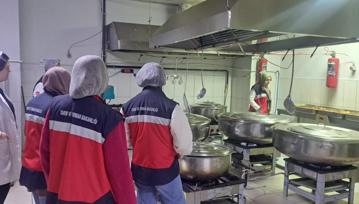 Gıdada denetim mesaisi sürüyor