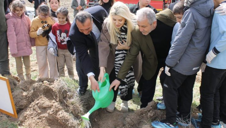 Doğa sevgisi okul sıralarından ormana taşındı
