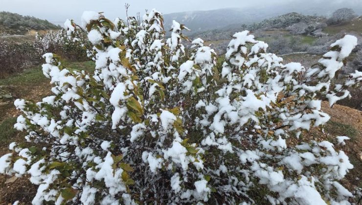Kar yağışı üreticiyi endişelendirdi