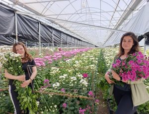 Jeotermal enerjiyle çiçek açan ekonomi