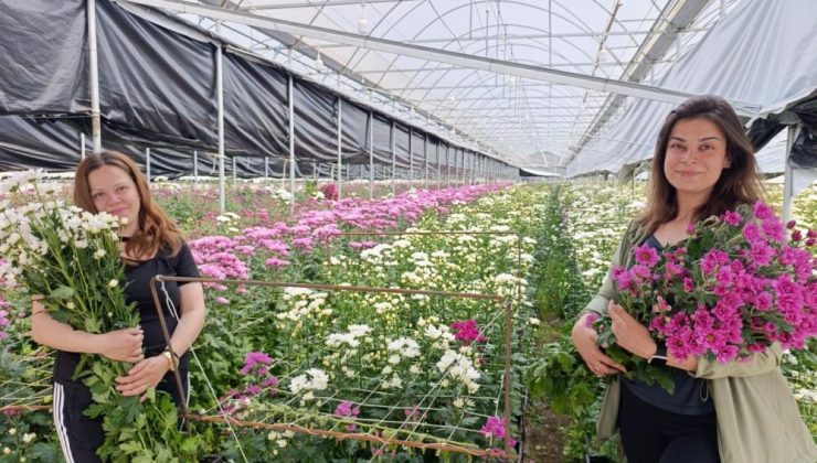 Jeotermal enerjiyle çiçek açan ekonomi