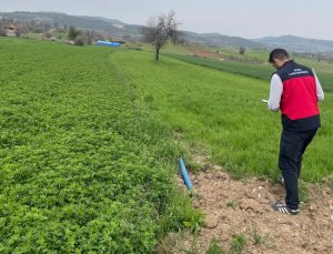 Tarımda kontroller aralıksız sürüyor
