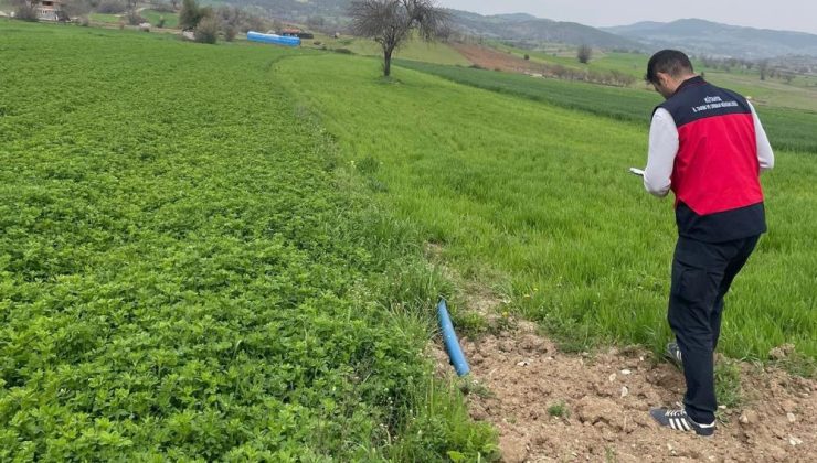 Tarımda kontroller aralıksız sürüyor