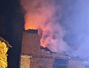 Geceyi saran alevler köylüleri korkuttu