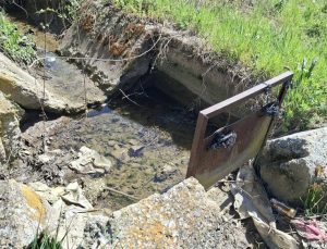 Bakımsız sulama kanalları çiftçileri zor durumda bırakıyor