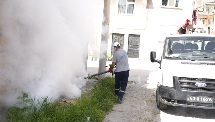 Halk sağlığı için kapsamlı ilaçlama çalışması başlatıldı