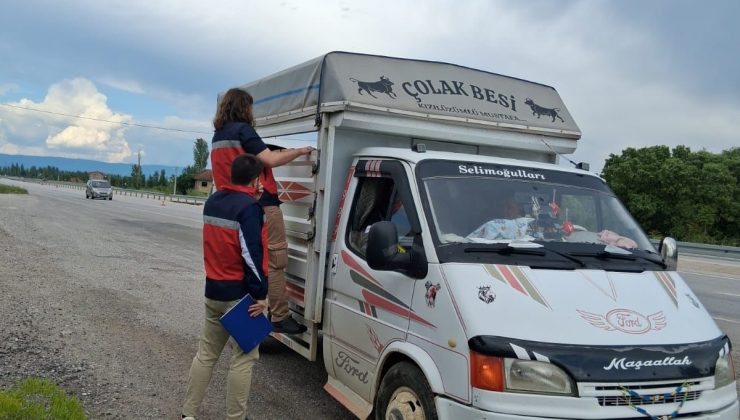 Bayram öncesi canlı hayvan sevklerine sıkı denetim