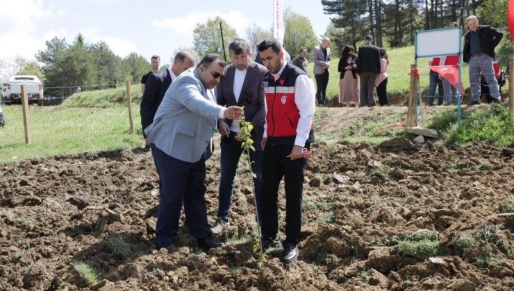 Atıl durumdaki hazine arazisi tarıma kazandırıldı