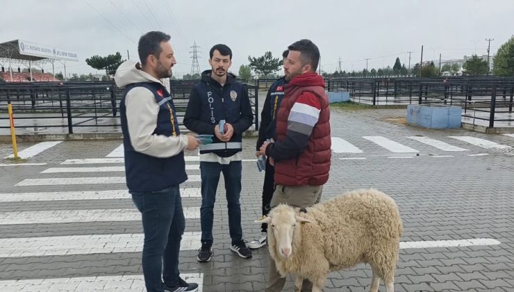 Polis ekiplerinden kurbanlık pazarında dolandırıcılık uyarısı