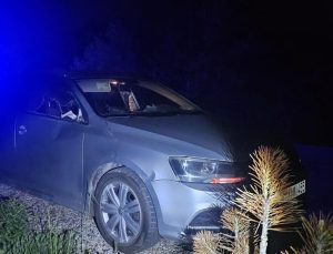 Geyiğin çarptığı otomobil kaza yaptı: 2 yaralı