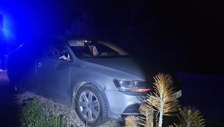 Geyiğin çarptığı otomobil kaza yaptı: 2 yaralı