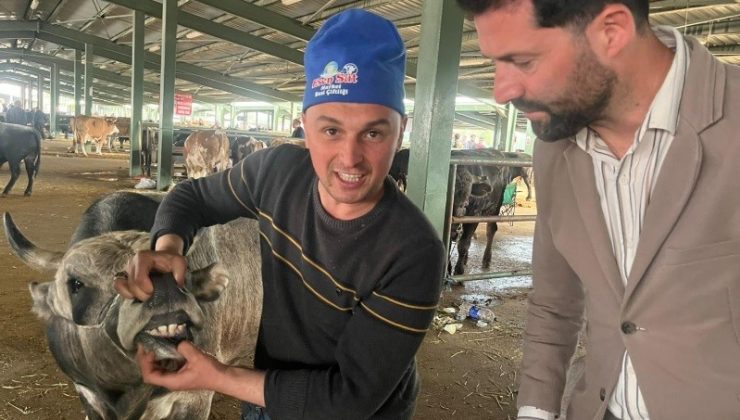 Hayvan Pazarında arefe günü yoğunluğu