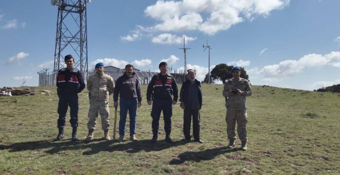 Kayıp büyükbaş hayvanlar OSB Jandarma tarafından bulundu