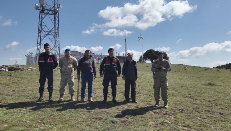 Kayıp büyükbaş hayvanlar OSB Jandarma tarafından bulundu