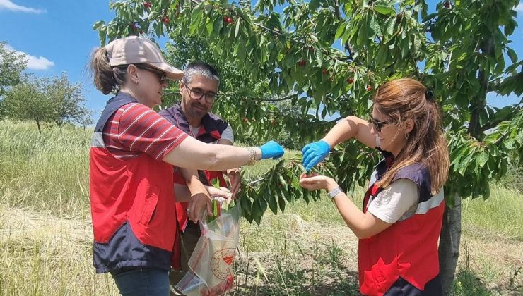 Tarladan sofraya güvenilir gıda için numuneler toplanıyor