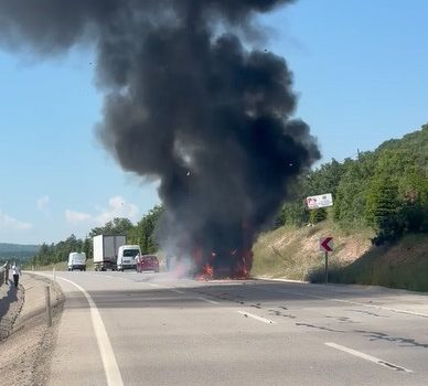 Seyir halinde alev alan kamyonet küle döndü