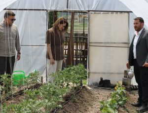 Okul pansiyonunun sebze ihtiyacı okul bahçesinde kurulan seradan karşılanıyor