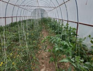 Termal şifa ve doğal lezzet bir arada