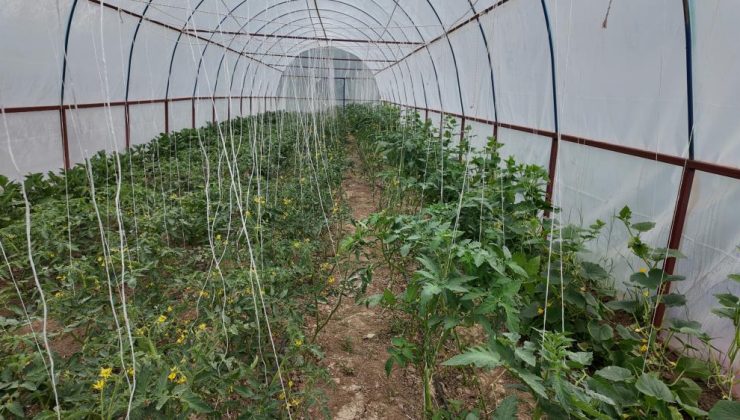 Termal şifa ve doğal lezzet bir arada