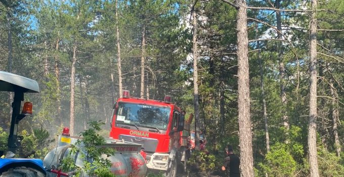 Yıldırım düşmesi sonucu orman yangını çıktı