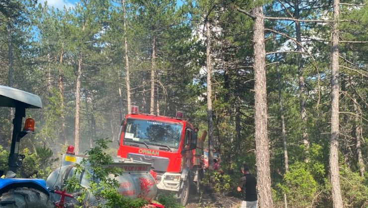 Yıldırım düşmesi sonucu orman yangını çıktı