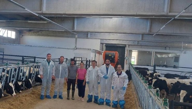 Hayvancılıkta yeni yöntemler sağlıklı et ve süt için güven veriyor