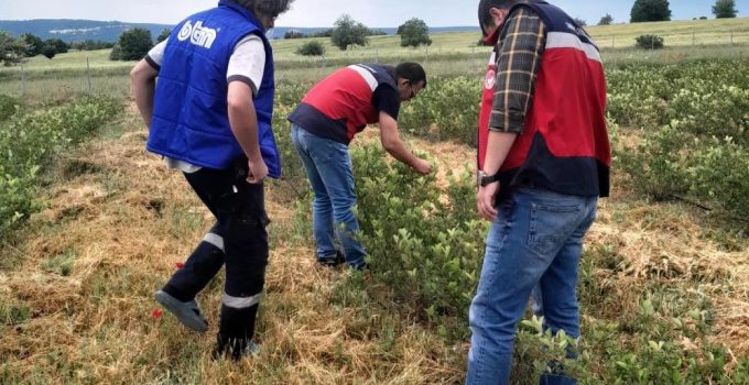 Tarımda yeni değerler için ekipler sahada