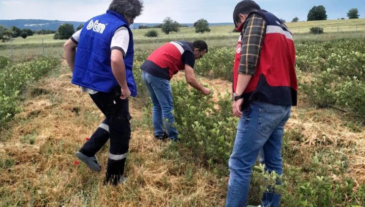 Tarımda yeni değerler için ekipler sahada