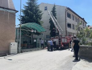 İtfaiye ekipleri minik serçe için seferber oldu