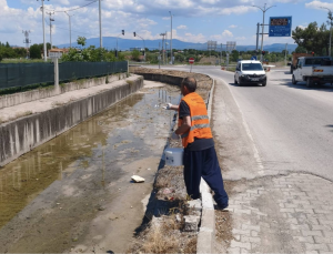 Gediz Belediyesi daha sağlıklı bir çevre için sahada